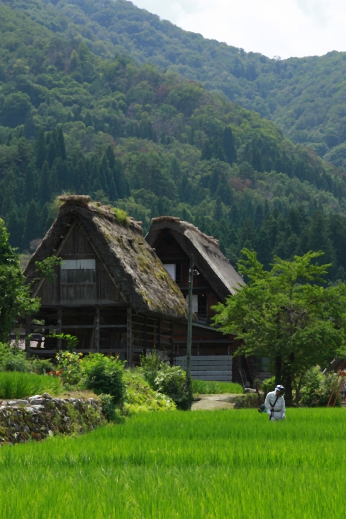 合掌造りと田園風景