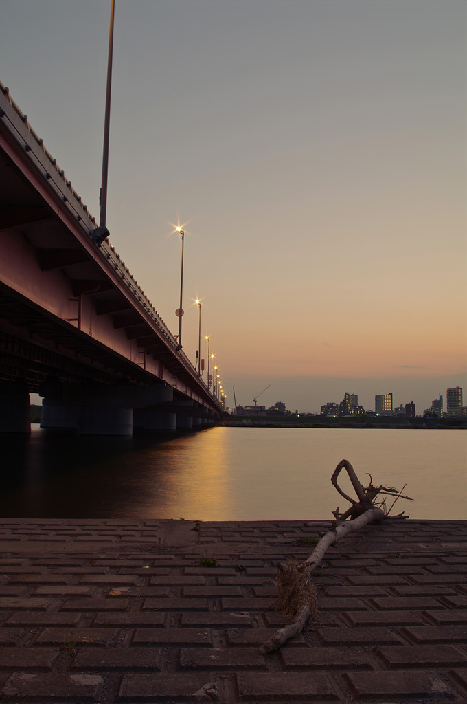 IMGP0878