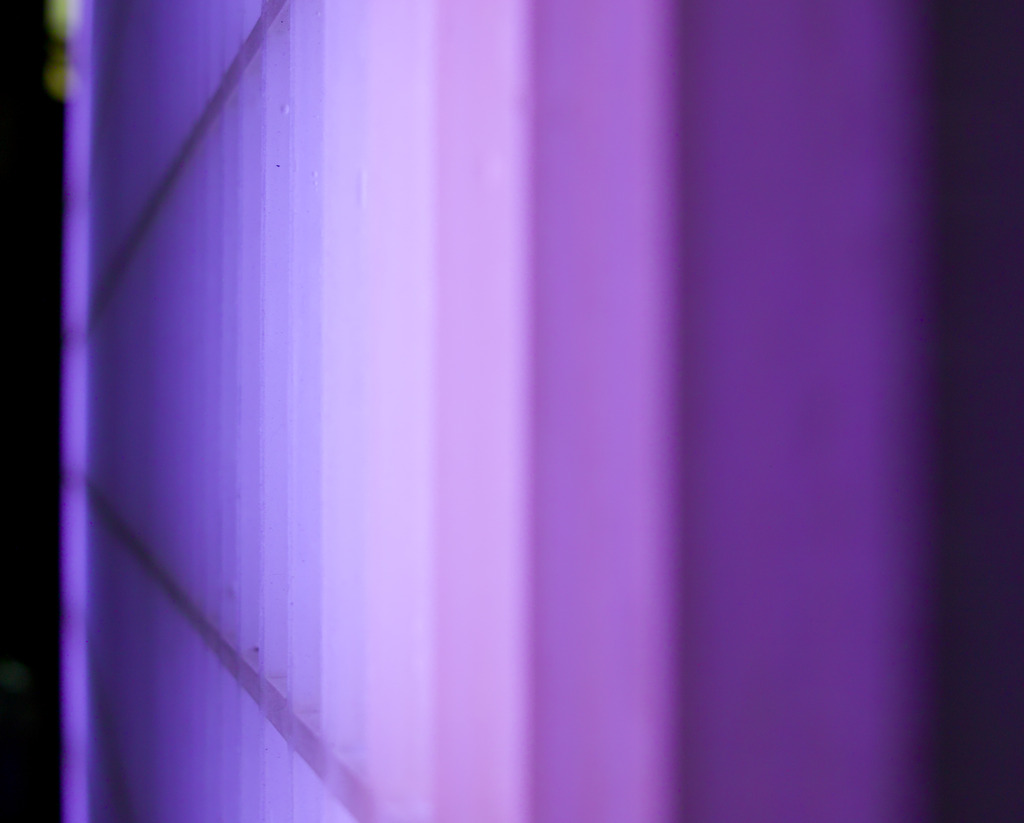 紫線