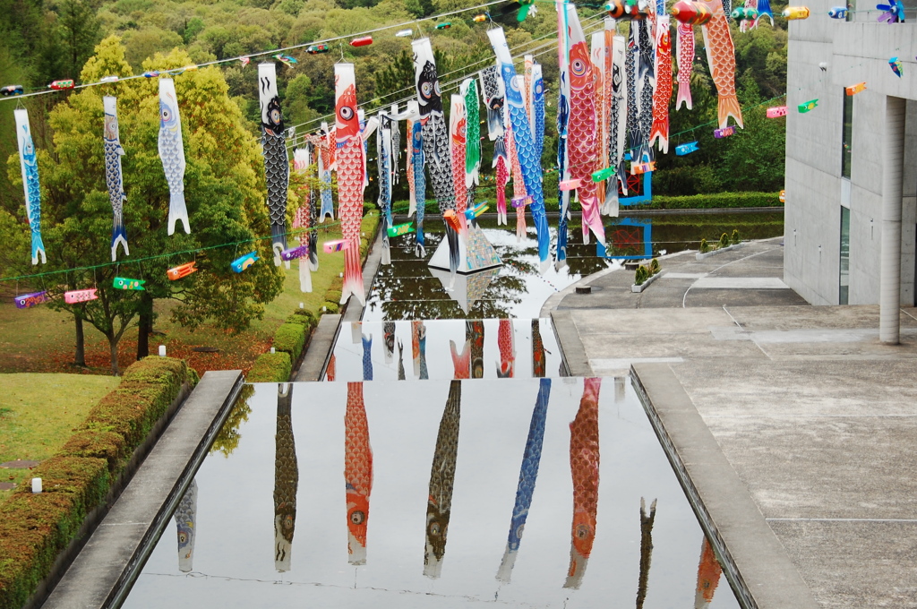 koinobori