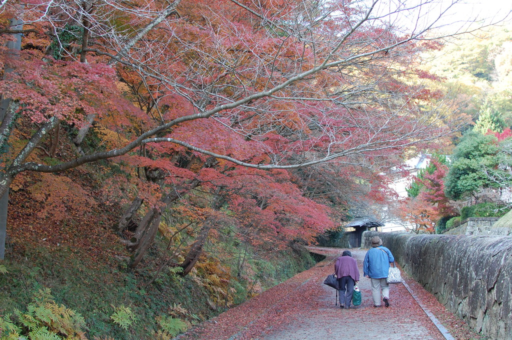 散歩道