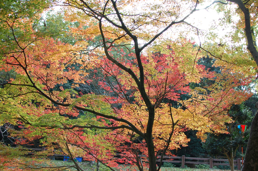 龍野公園