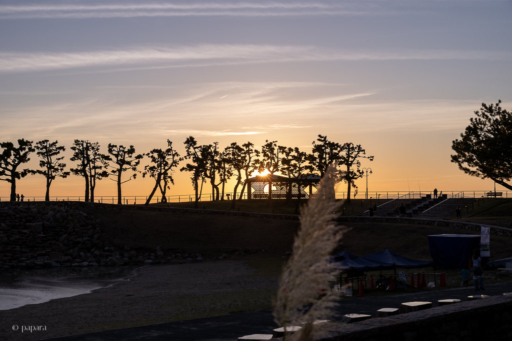 RINKU Sunset_20250926