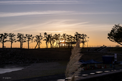 RINKU Sunset_20250926