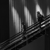 Colourful Black and White_08