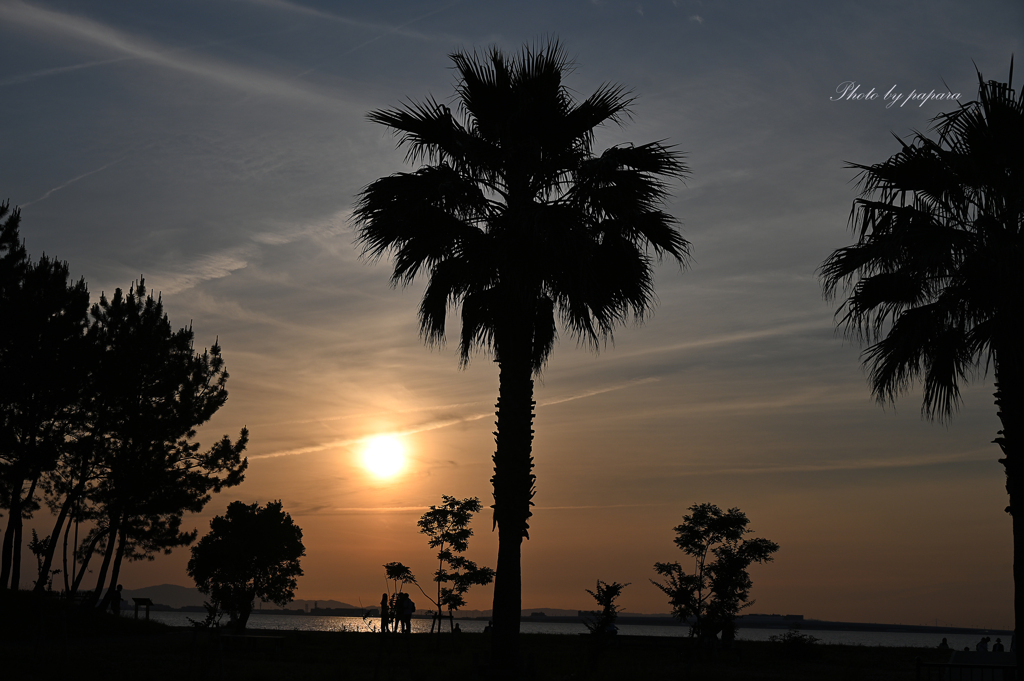 RINKU Sunset_2024170