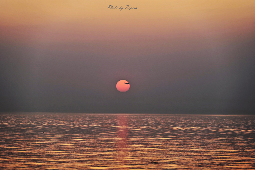 RINKU Sunset_73