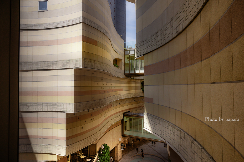 Architecture_29