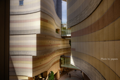 Architecture_29