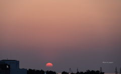 RINKU Sunset_2025098