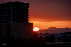 RINKU Sunset_20251022