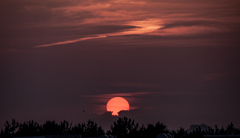 RINKU Sunset_2025191