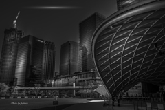 Colourful Black and White_19