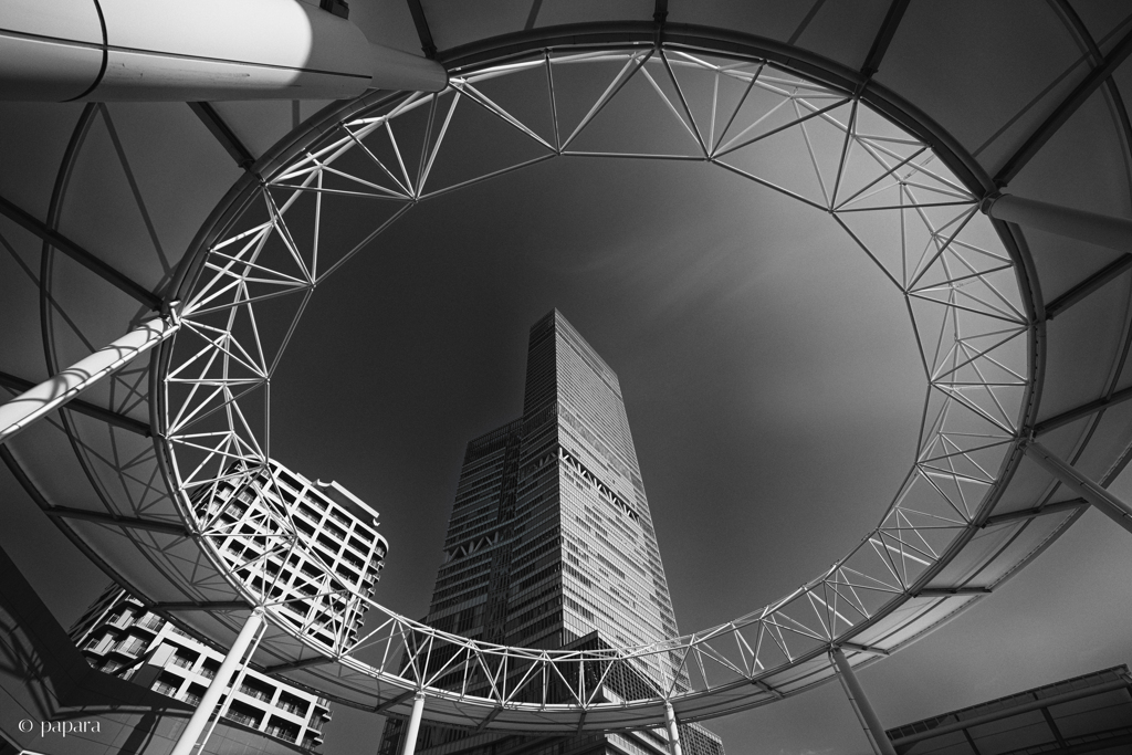 Colourful Black and White_29