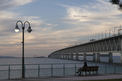 RINKU Sunset_2024343