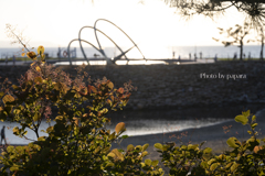 RINKU Sunset_2024321