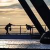 RINKU Sunset_2024272