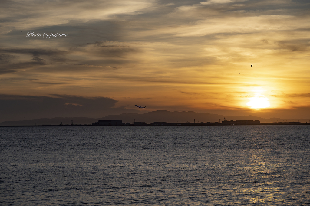 RINKU Sunset_2024238