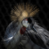天王寺動物園からのお便り_143