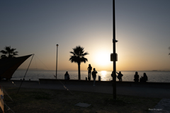 RINKU Sunset_2025089