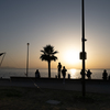 RINKU Sunset_2025089