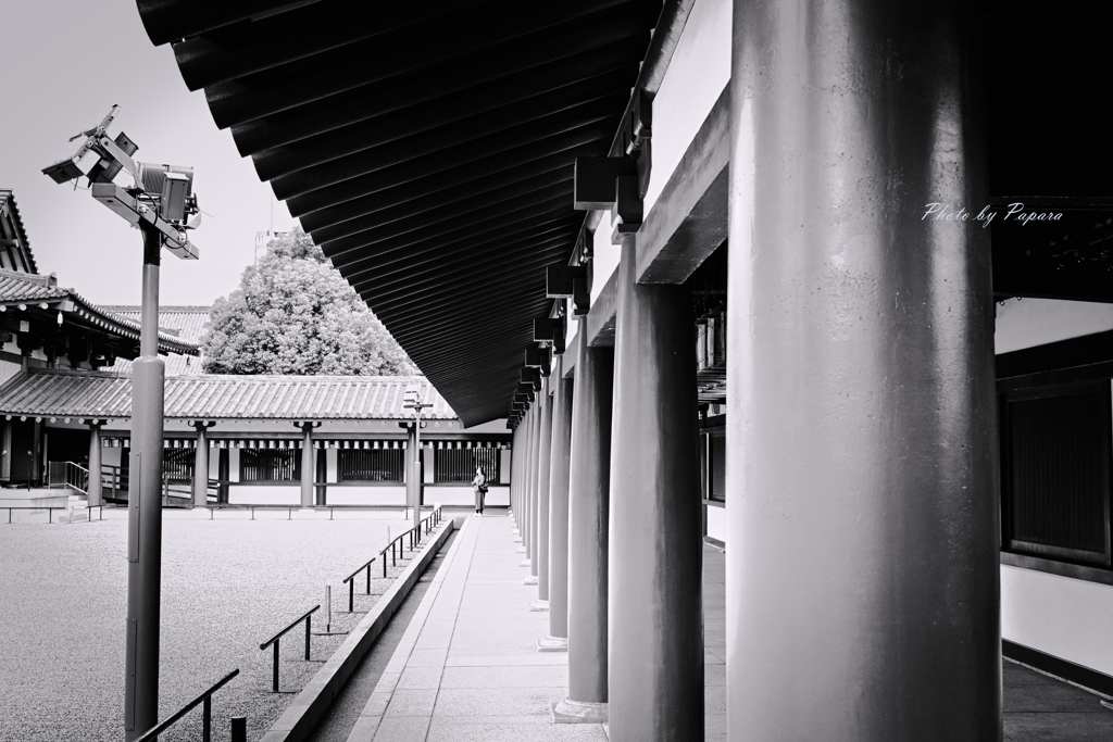 大阪天王寺からのお便り_18