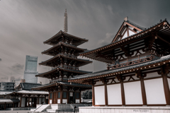 大阪天王寺からのお便り_31