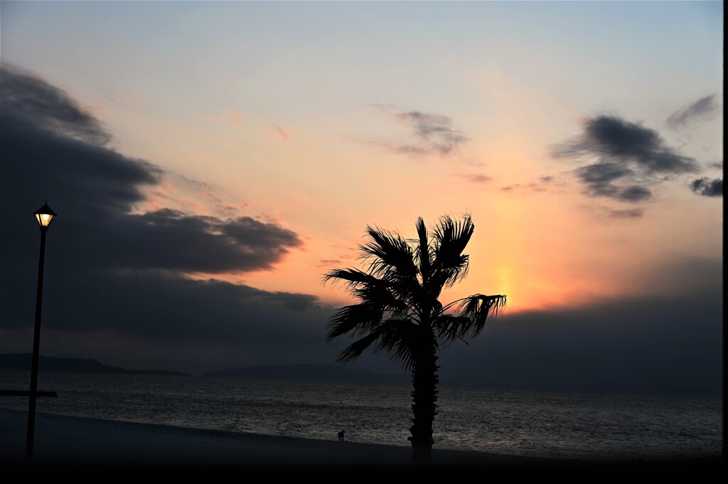 RINKU Sunset_52