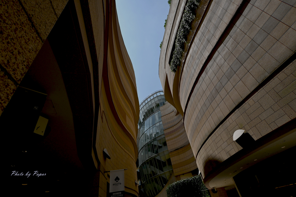 なんばパークスよりお便り_19