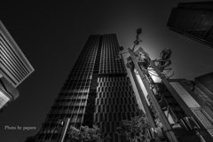 Colourful Black and White_15