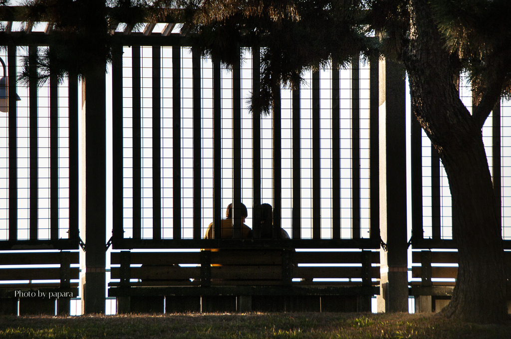 RINKU Sunset_2025033