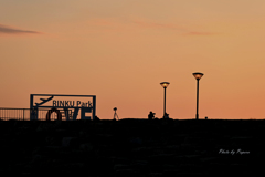 RINKU Sunset_169