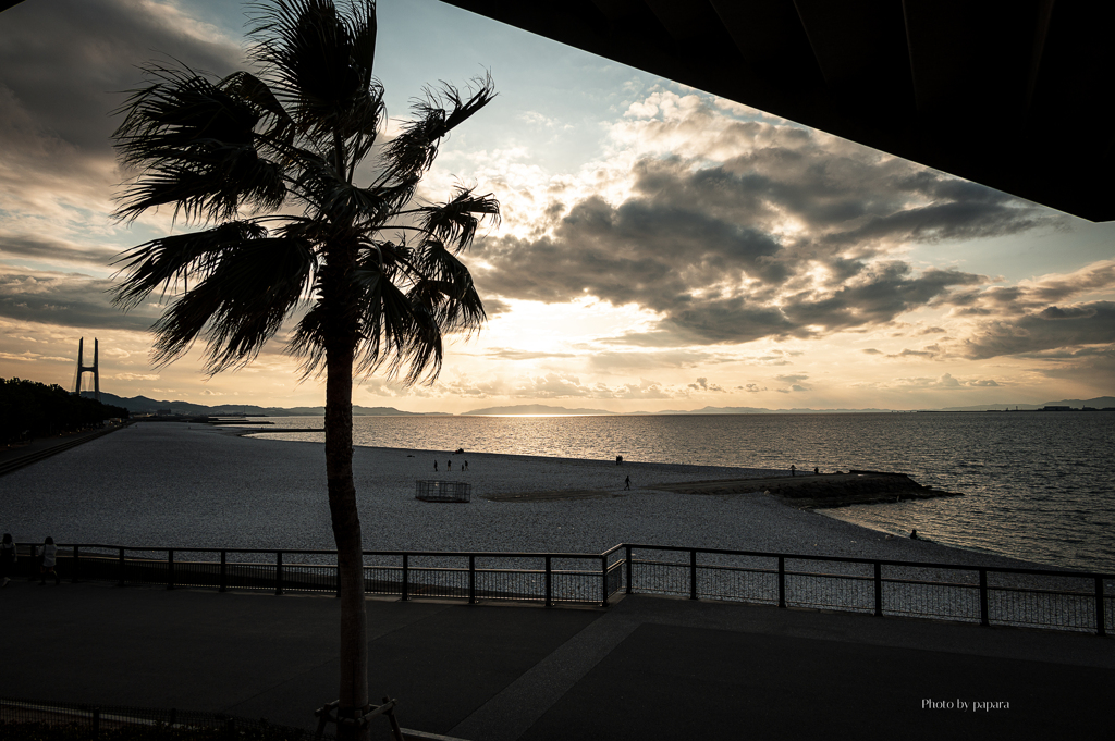 RINKU Sunset_2025060