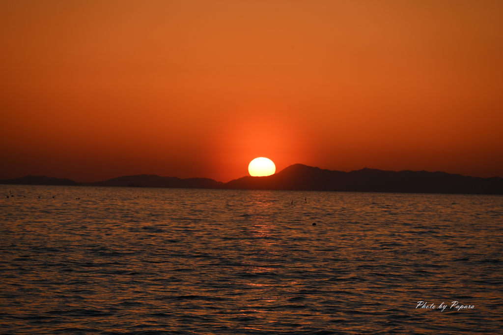 RINKU Sunset_67