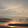 RINKU Sunset_2024037