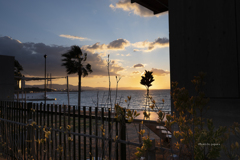 RINKU Sunset_2025024