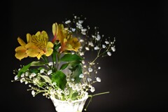 テーブルフォト（ライトアップ）