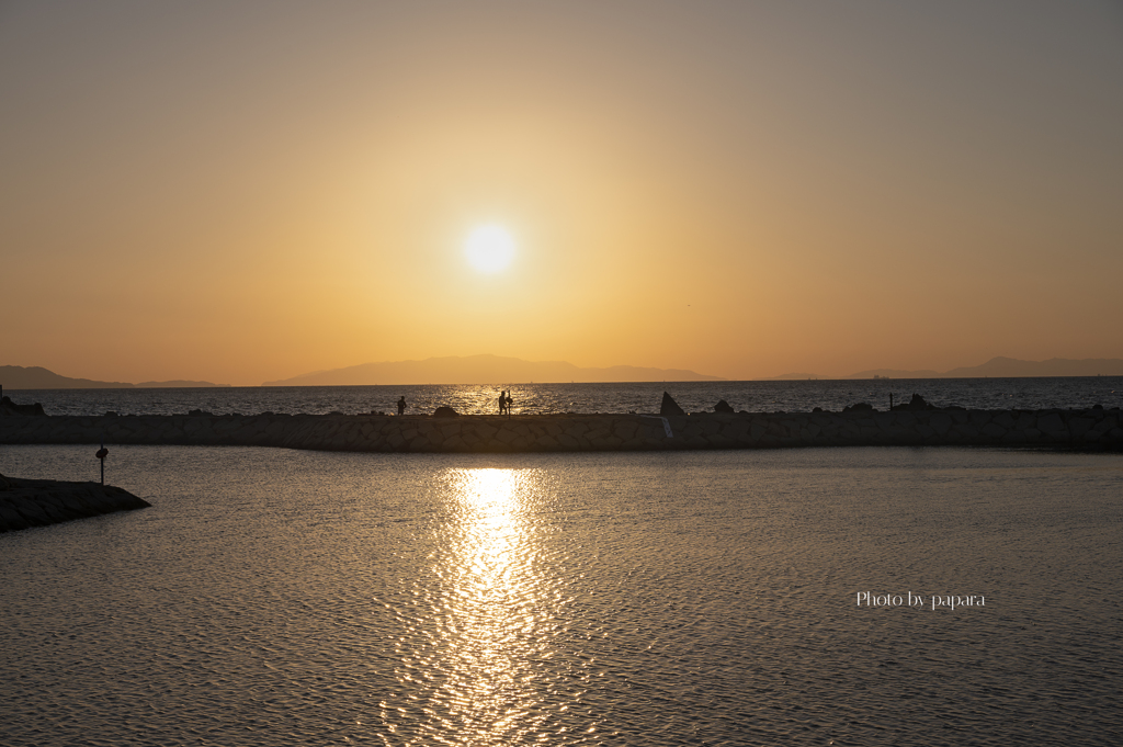 RINKU Sunset_2024329