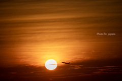 RINKU Sunset_20250828