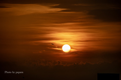 RINKU Sunset_20250907