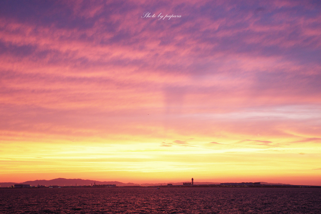 RINKU Sunset_2024164