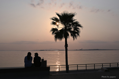 RINKU Sunset_2025157