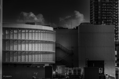 Colourful Black and White_30