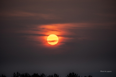 RINKU Sunset_2025195