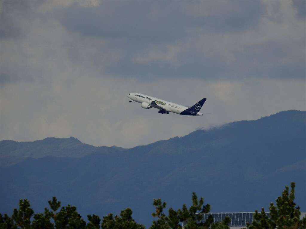 ルフトハンザ カーゴ