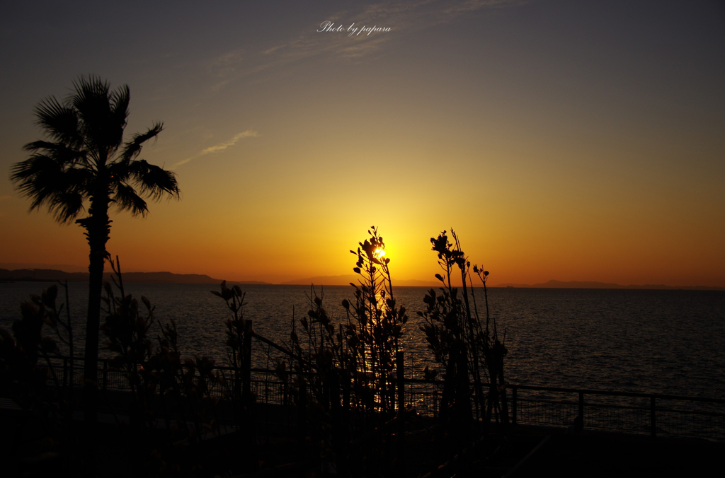 RINKU Sunset_2024058