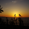 RINKU Sunset_2024058