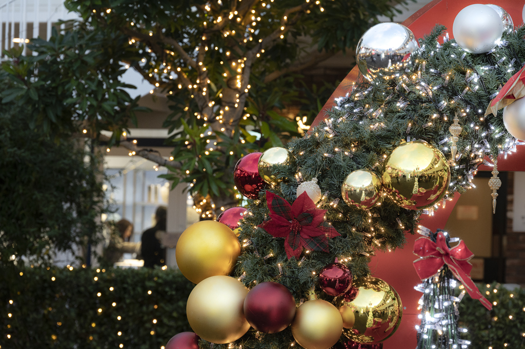 Christmas season_06