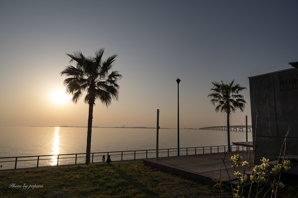 RINKU Sunset_2025136