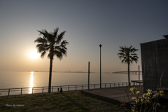 RINKU Sunset_2025136